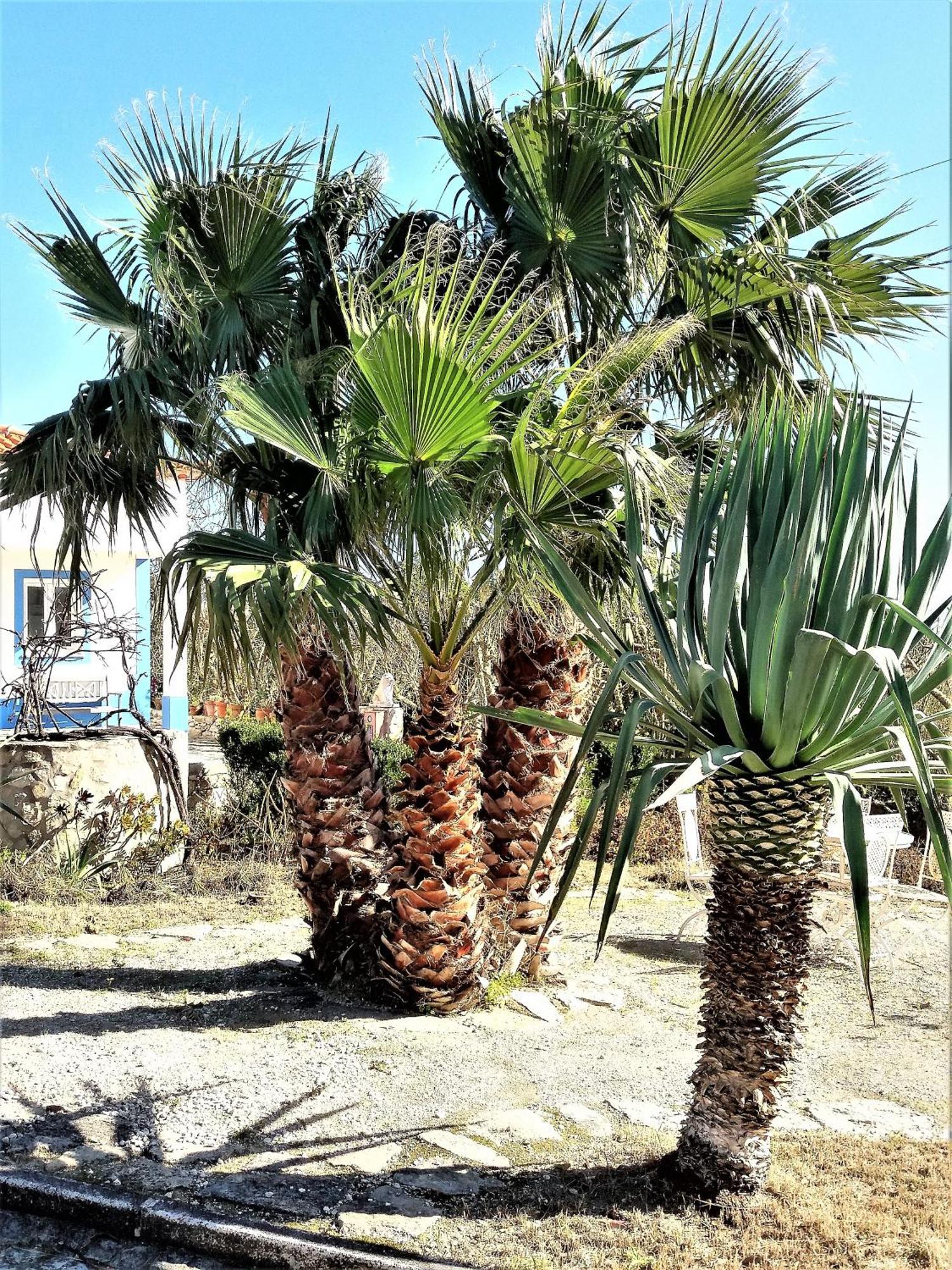 Agua Rocha Villa Serra de Mangues Oda fotoğraf