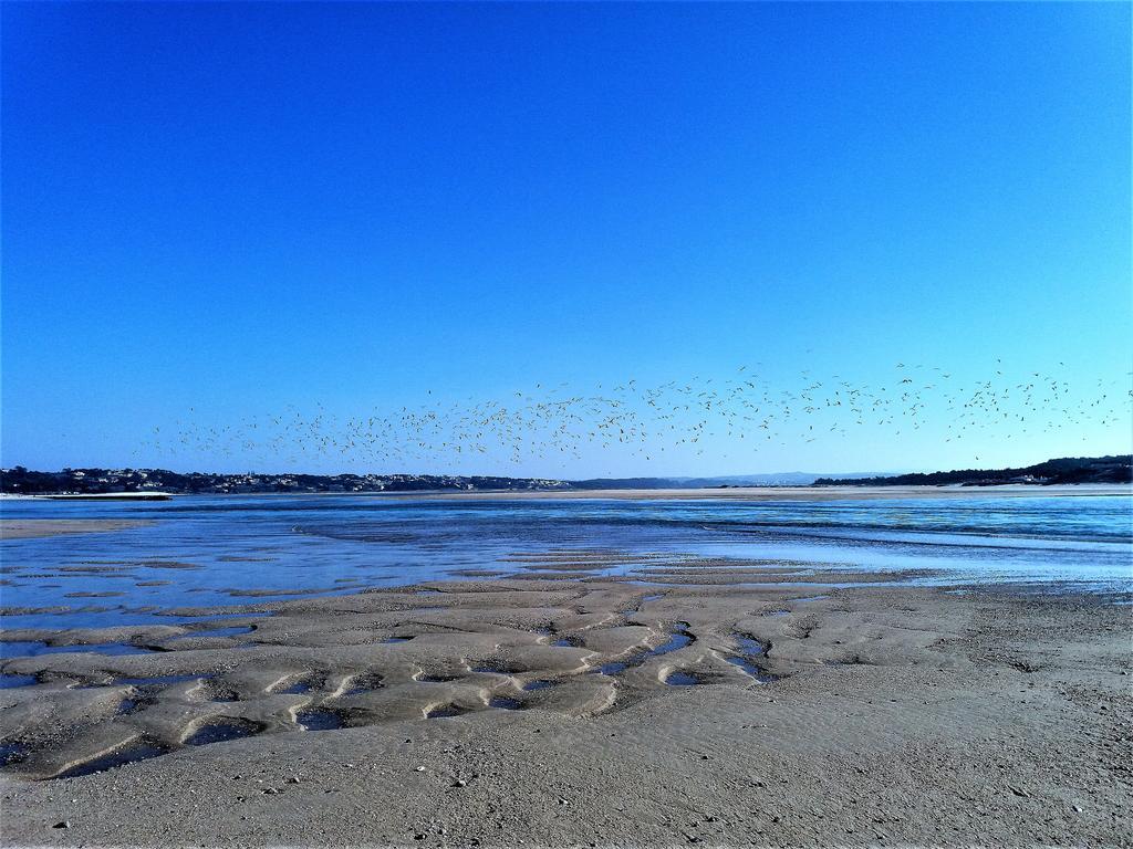 Agua Rocha Villa Serra de Mangues Dış mekan fotoğraf